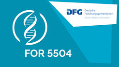 Research group FOR 5504