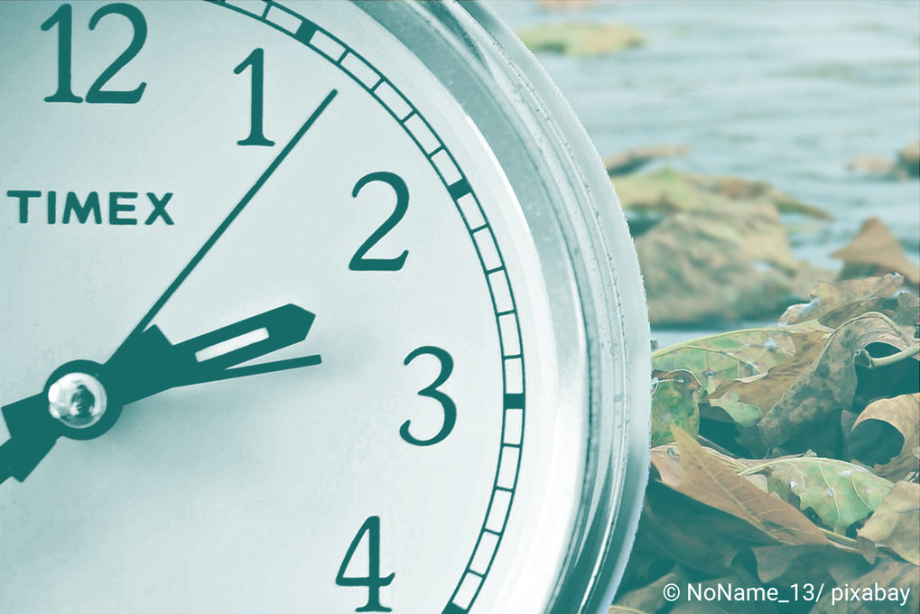 Eine Uhr mit Herbstblättern im Hintergrund.