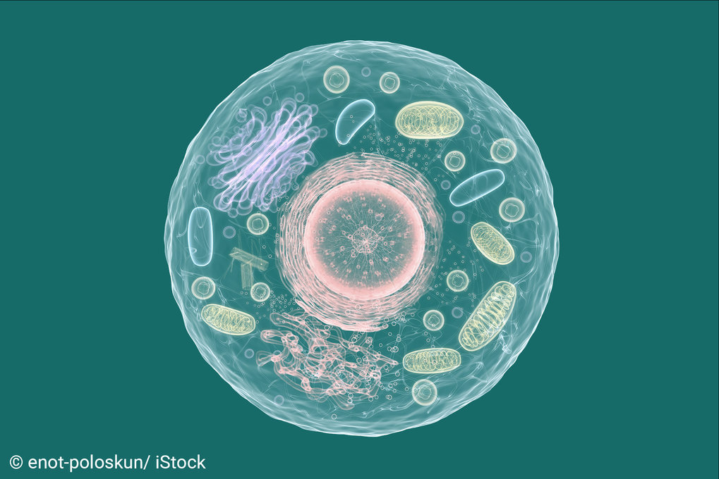 Three-dimensional artistic representation of a cell.