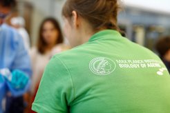 Rückansicht einer Person in einem grünen T-Shirt des Max-Planck-Instituts für Biologie des Alterns, umgeben von Laboraktivitäten.