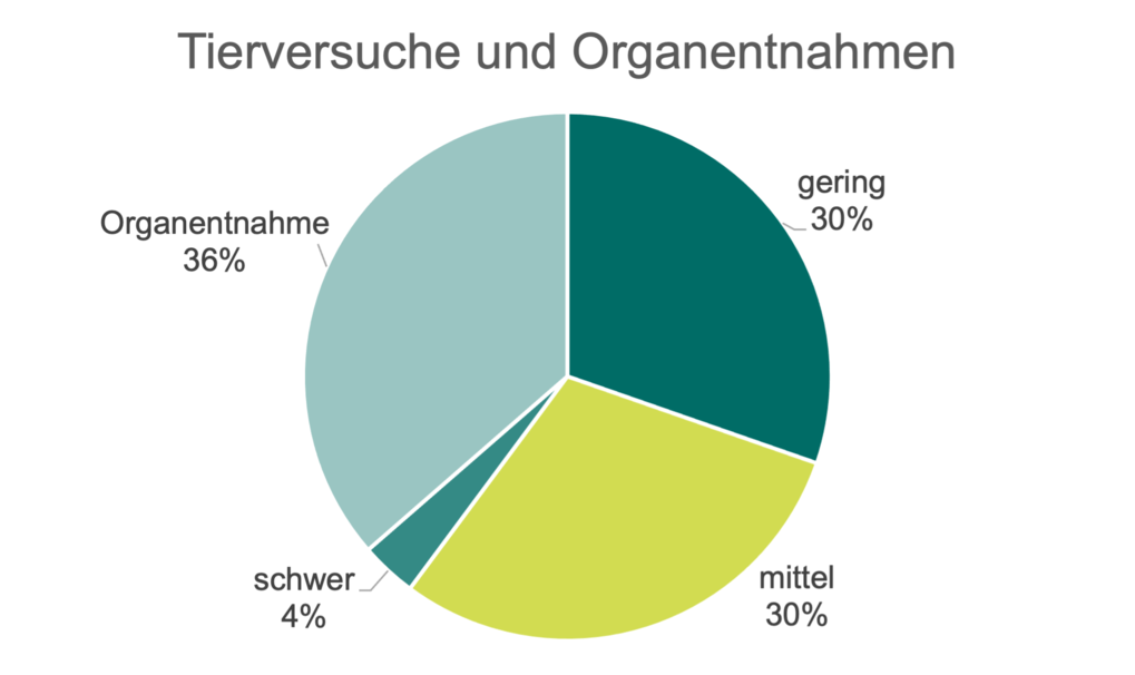 Kreisdiagramm zu Tierversuchen: 36% Organentnahme, 30% gering, 30% mittel, 4% schwer.
