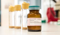 Eine Flasche mit Rapamycin steht im Vordergrund vor Röhrchen mit Fruchtfliegen