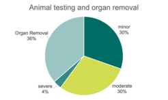 Pie chart on animal testing: 36% organ removal, 30% minor, 30% moderate, 4% severe.