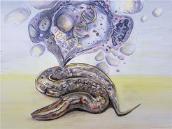 Drawn worm with ascending DNA strands and molecular structures.