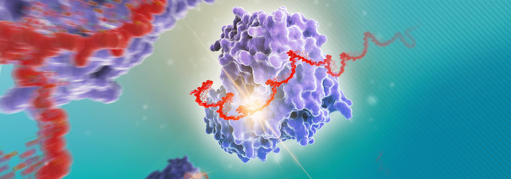 Molecular illustration depicting a three-dimensional purple protein structure intertwined with a red RNA strand, set against a gradient blue background.