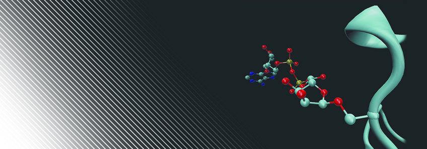 Serine ADP-ribosylation: a new letter in the cell’s alphabet discovered by Matic lab Serine ADP-ribosylation: a new letter in the cell’s alphabet discovered by Matic lab