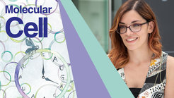Split-Image Bruna Di Giacomo and Cover of Molecular Cell