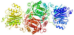 Bild Proteinstruktur von GFAT-1