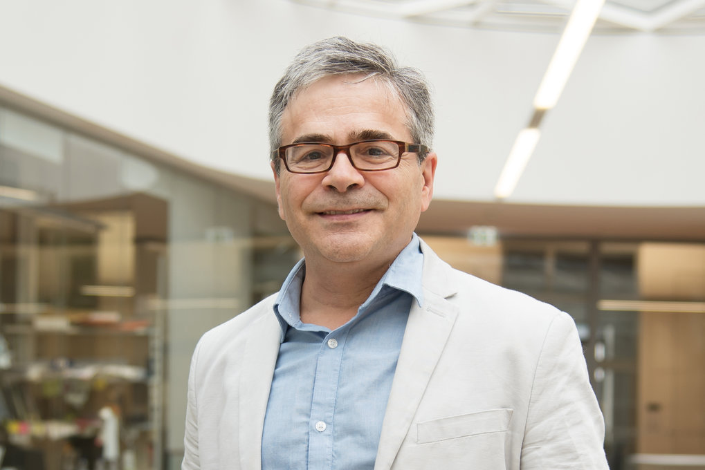 Prof. Dr. Adam Antebi